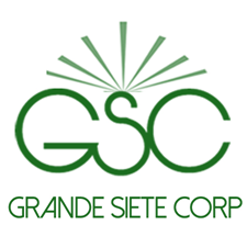 gsclogo.fw